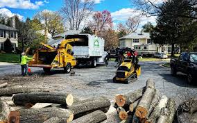 Trusted Germantown, OH Tree Removal and Landscaping Services Experts